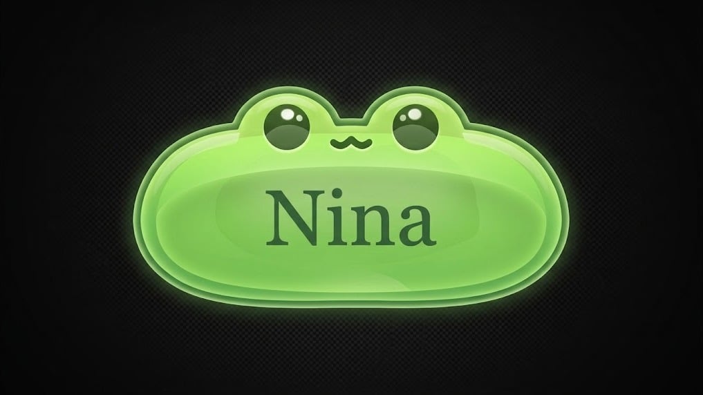 بنر سرور دیسکورد nina