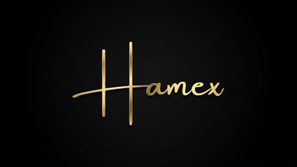 بنر سرور دیسکورد HameX
